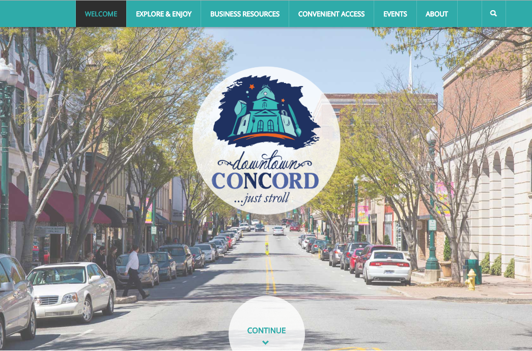 website picture